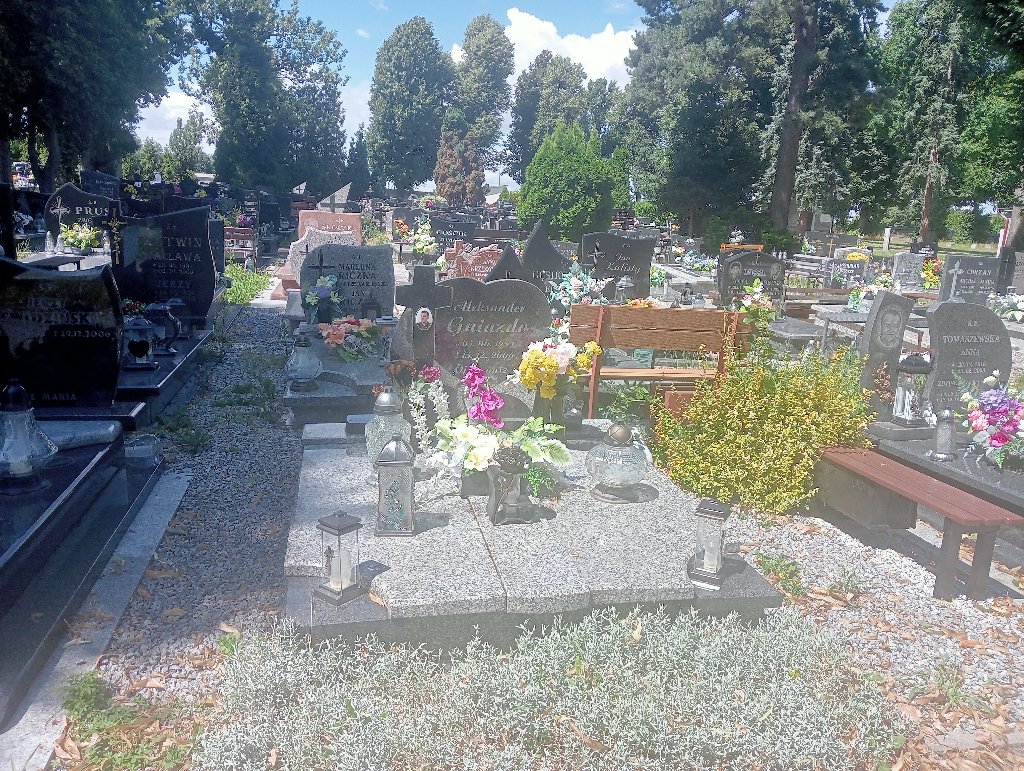 Grób Aleksander Gniazdo