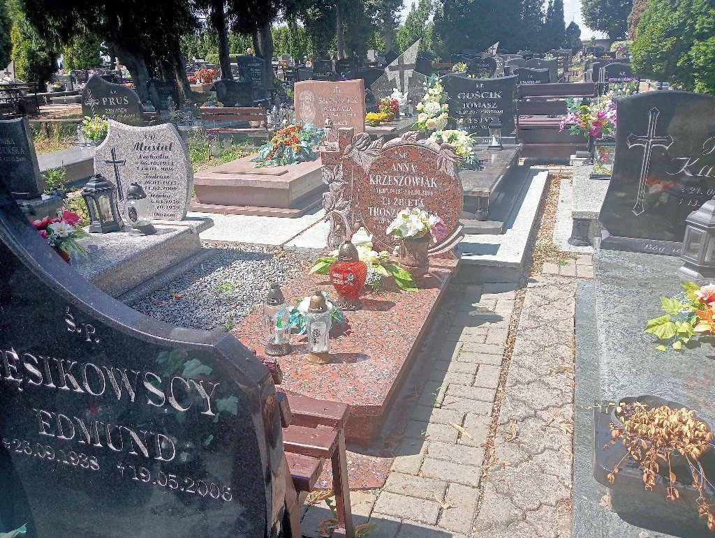 Grób Elżbieta Troszczyńska