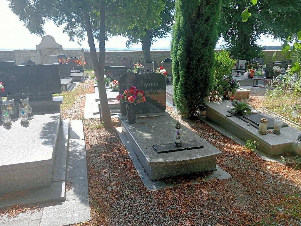Grób Maria Żynis